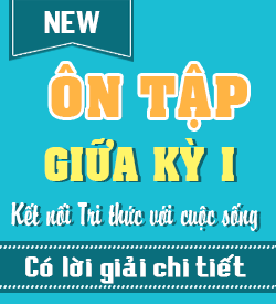 Ôn tập Giữa học kỳ I (KNTT)